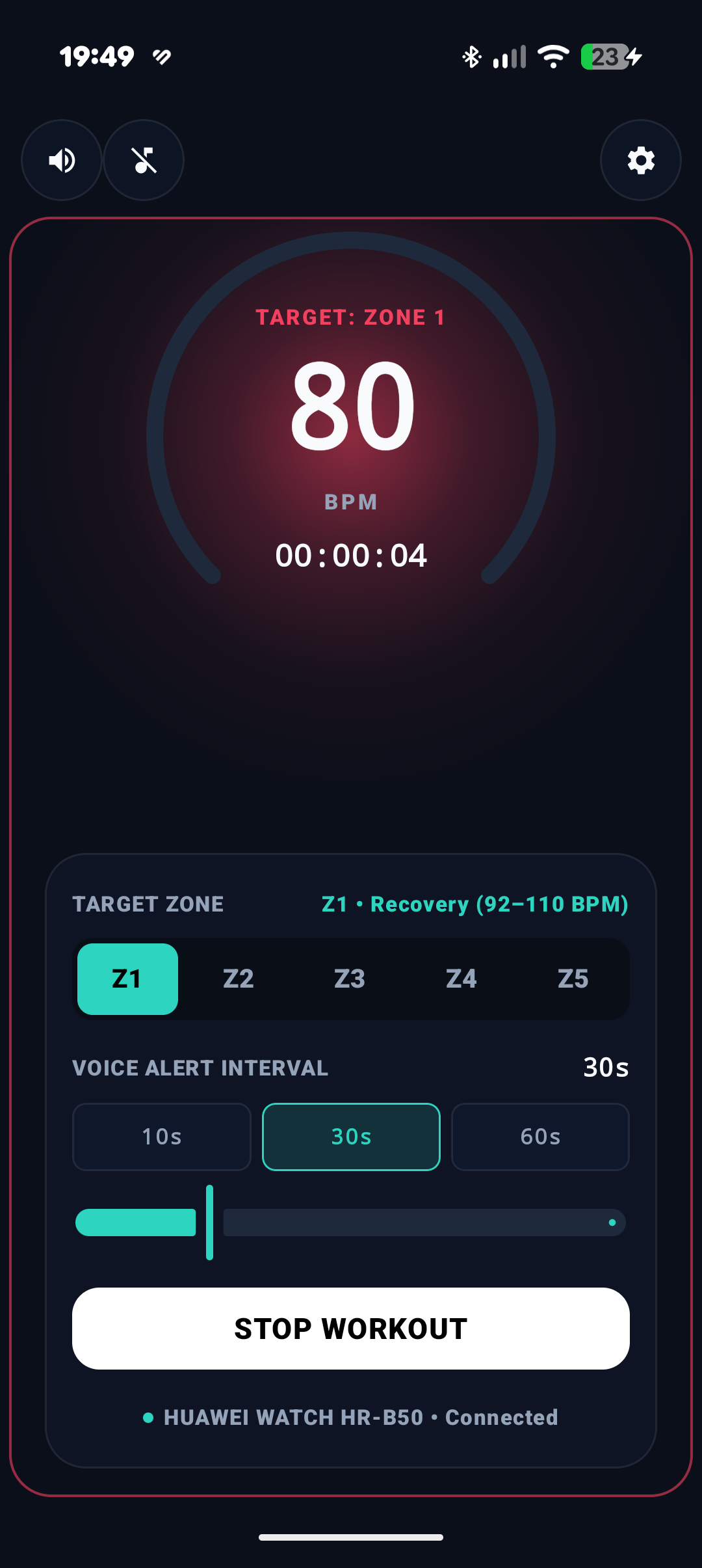 ZoneTrainer Active Workout Gauge Screenshot